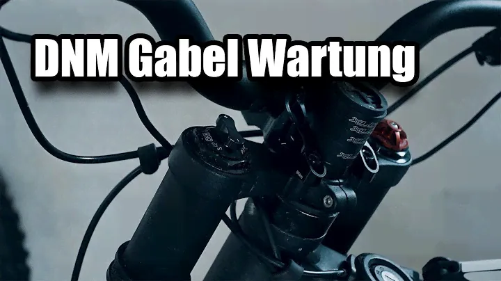 [TUTORIAL] DNM Gabel Wartung | SUR-RON Firefly X
